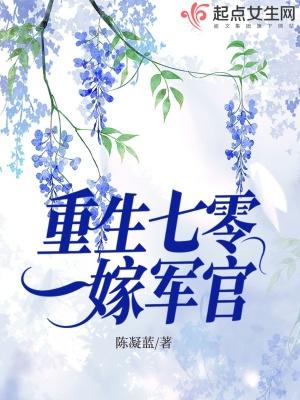 重生七零嫁给兵哥哥
