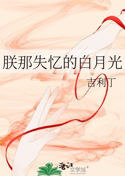 朕那失忆的白月光讲的什么