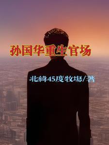 孙国华重生官场免费阅读
