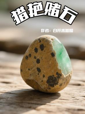 猎艳赌石陈歌