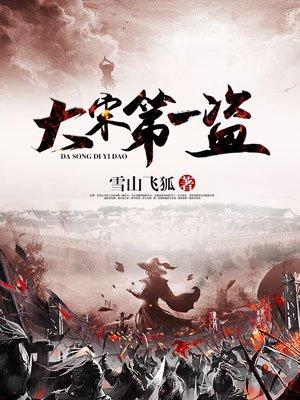 大宋第一盗全文免费阅读