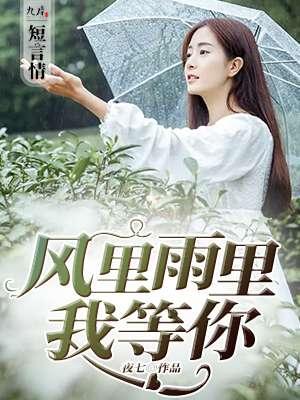 风里雨里我在等你歌曲