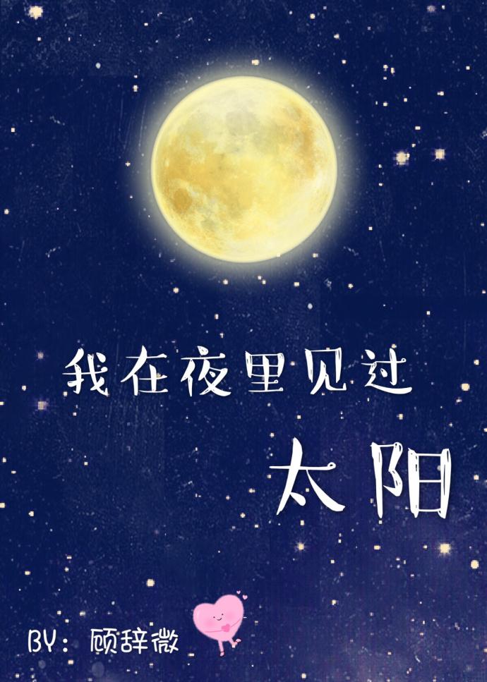 我在夜里见过太阳全文
