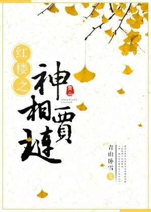 红楼之贾相威武