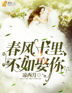 不如你娶你免费阅读