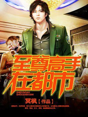 至尊高手在都市免费阅读全文