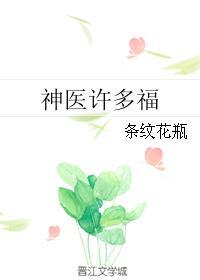 神医许多福作者条纹花瓶