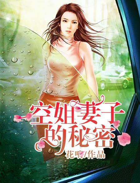 空姐妻子的秘密在线视频播放