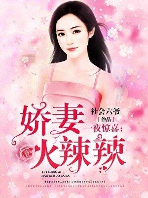 一夜娇宠