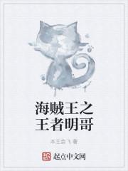 海贼明哥之王者归来