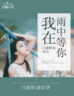 我在雨中等你深度解析