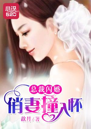 闪婚总裁的娇俏前妻
