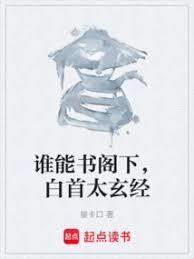 白首太玄经啥意思
