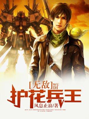 无敌护花高手
