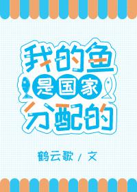 国家分配给我的