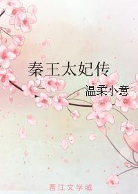 秦王太妃传温柔小意书包网
