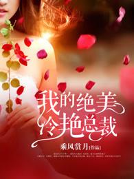 我的绝美冷艳总裁百度百科