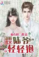 甜婚蜜令陆少的医神免费阅读