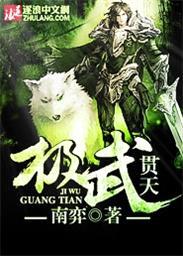 极武的极是什么意思