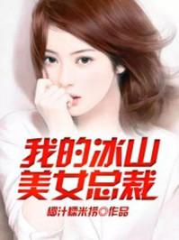 我的冰山美女总裁老婆杨辰