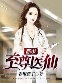 都市至尊仙医无弹窗
