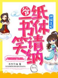 神探王妃txt
