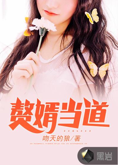 赘婿当道1638