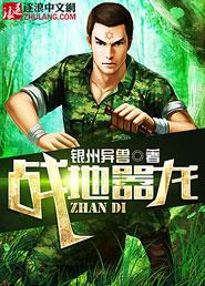 战地yi