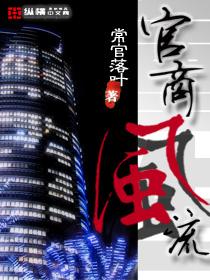 重生之官场风流在线收听