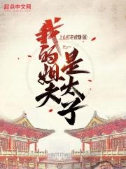我的姐夫是太子全文免费阅读