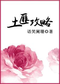 土匪攻略 简介