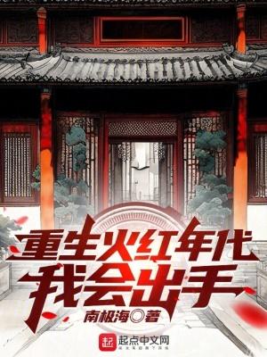 重生火红年代当文豪