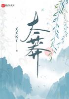 太莽境界划分