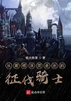 从霍格沃滋开始的征伐骑士