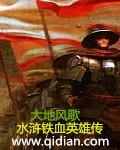 铁血英雄36集全