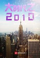 大时代之2010电视剧