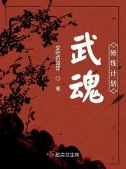 武魂练级攻略