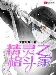 精灵之格斗训练家