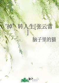 张云雷的转扇子