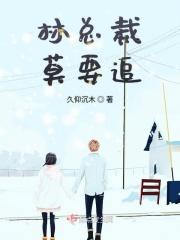 林总的追妻计划