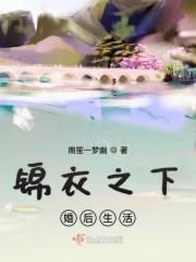锦衣之下婚后生活2
