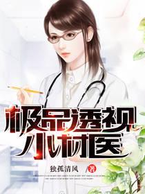 极品透视小村医独孤清风笔下文学