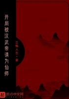 大汉开局汉武帝流落