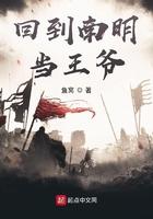 回到南明当王爷txt