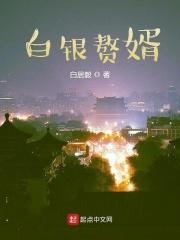赘婿 第200章