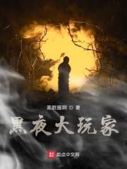 黑夜玩家在线