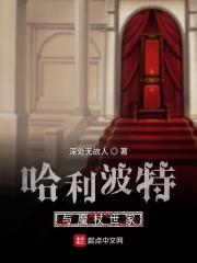 哈利波特奥利凡德魔杖店描写
