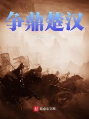 楚汉争鼎
