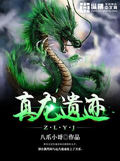 真龙地村