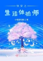 体验生活系